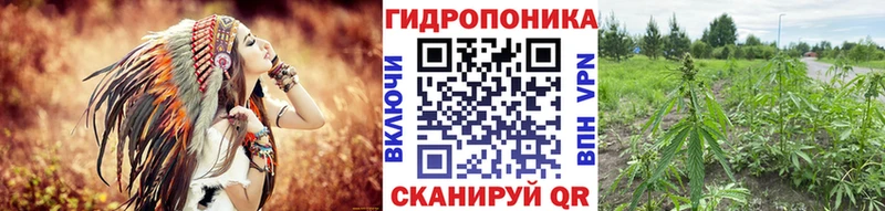 блэк спрут онион  Ханты-Мансийск  Конопля Bruce Banner  где можно купить  